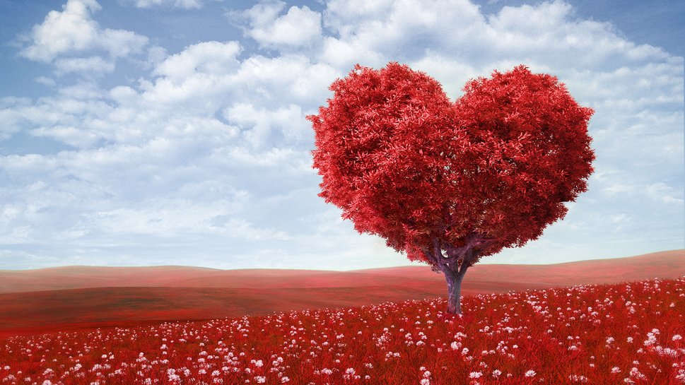 98983__valentine-amp-39-s-day-love-romance-heart-tree-field-flowers-sky_p